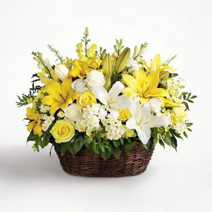 Sunkissed Yellow