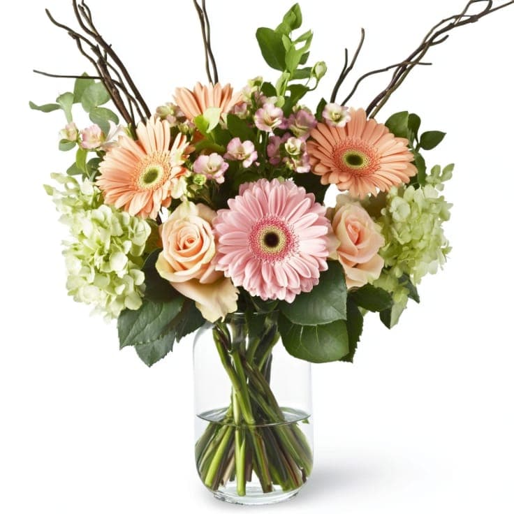 luxurious Roses
