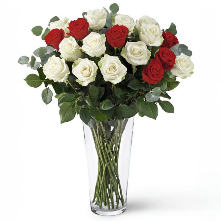 Shimmering White Roses