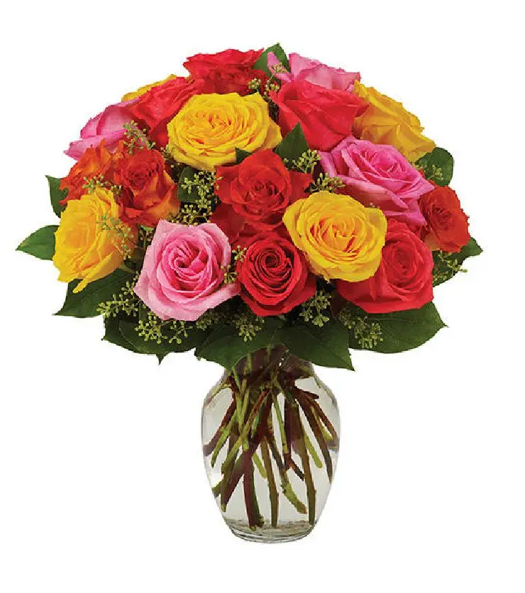 ASSORTED ROSES - BRIGHT
