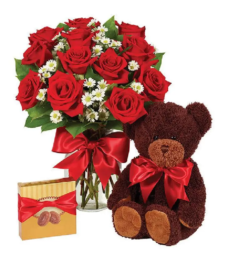 1 DOZEN ROSES - RED