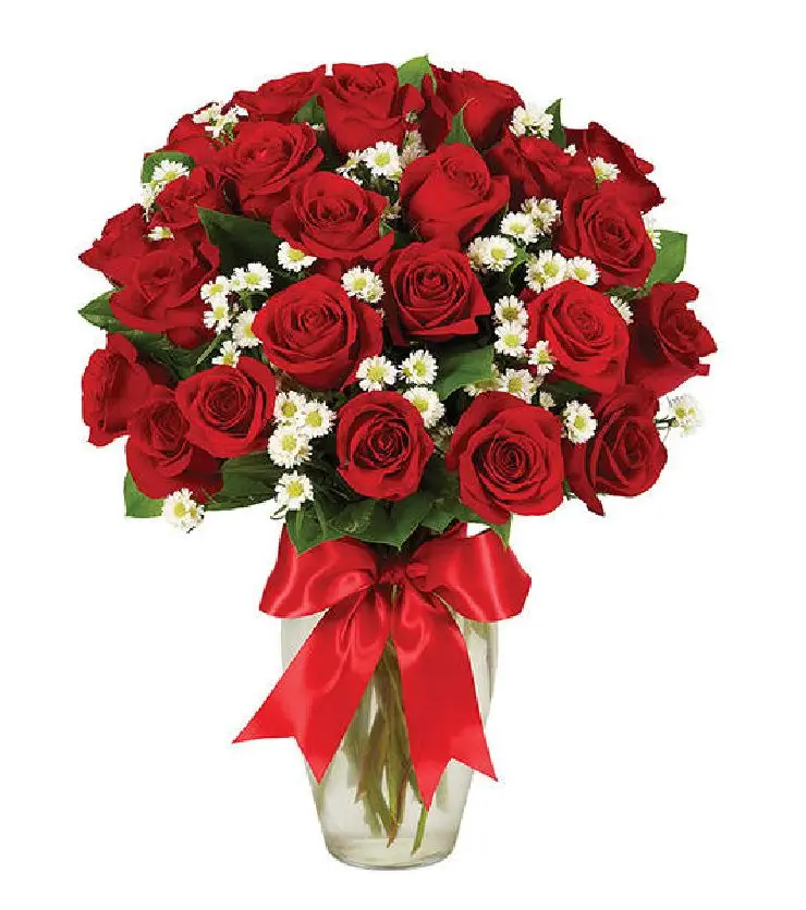 1 1/2 DOZEN ROSES - RED