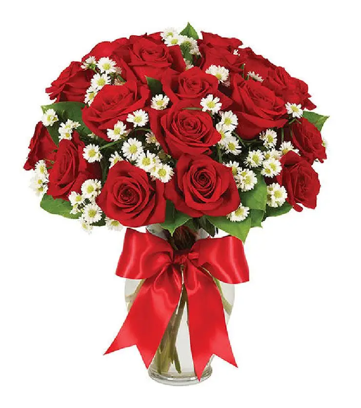 2 DOZEN ROSES - RED