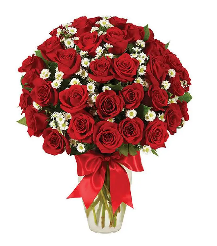 3 DOZEN ROSES - RED