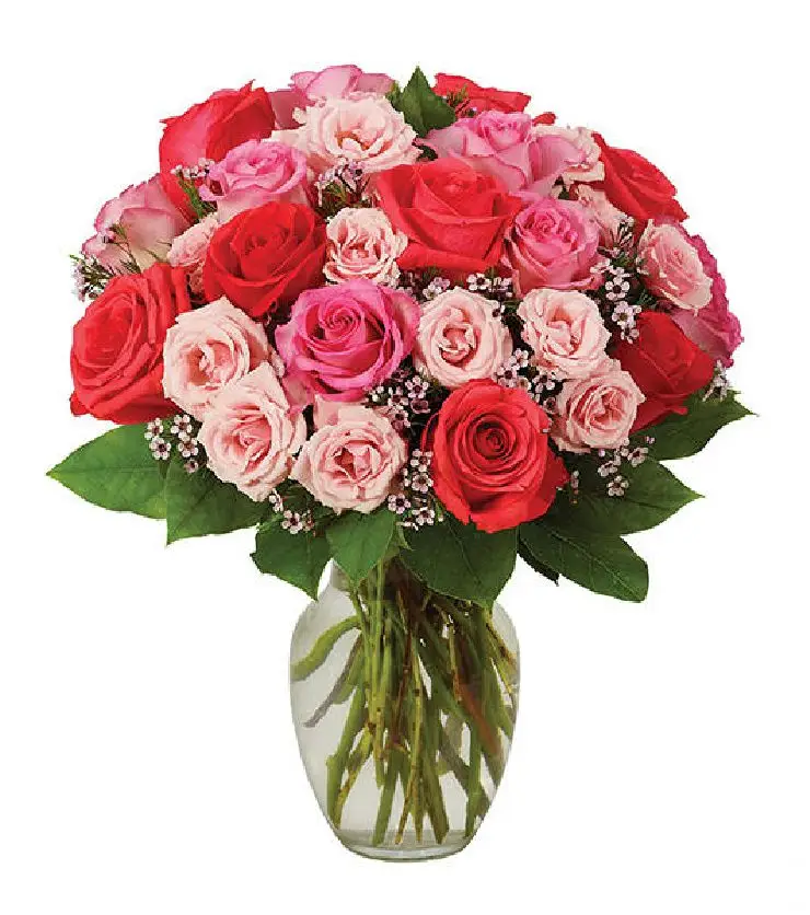 SWEETEST ROSE BOUQUET - PINK