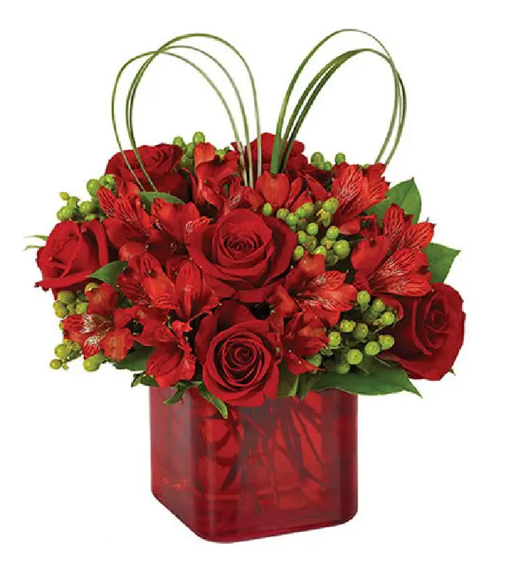 VALENTINE'S DAY SURPRISE