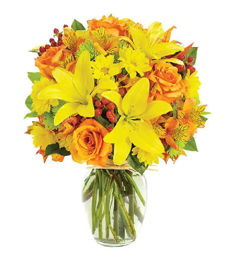Cheery Harvest Wishes
