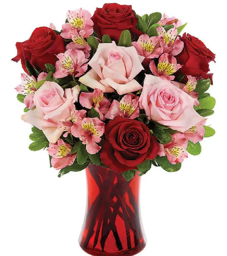 Romance Wishes