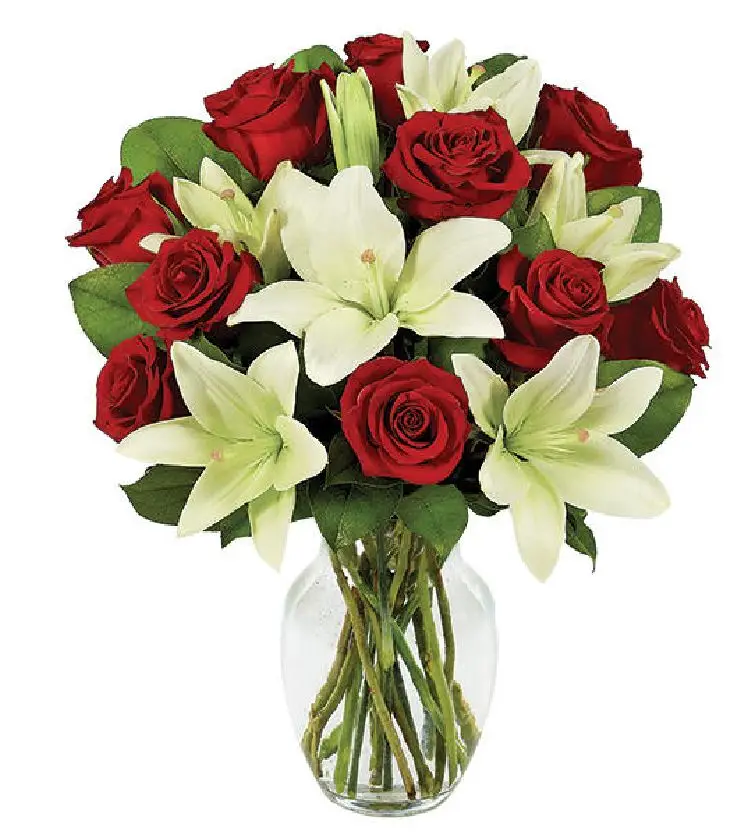 Rose & Lily Romance