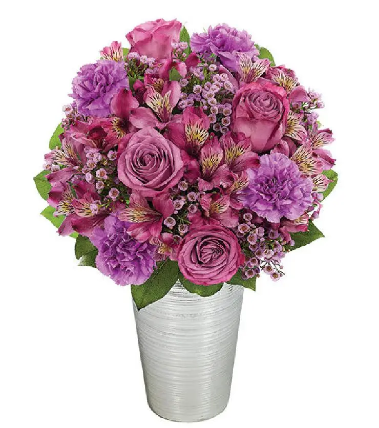 Purple Perfection