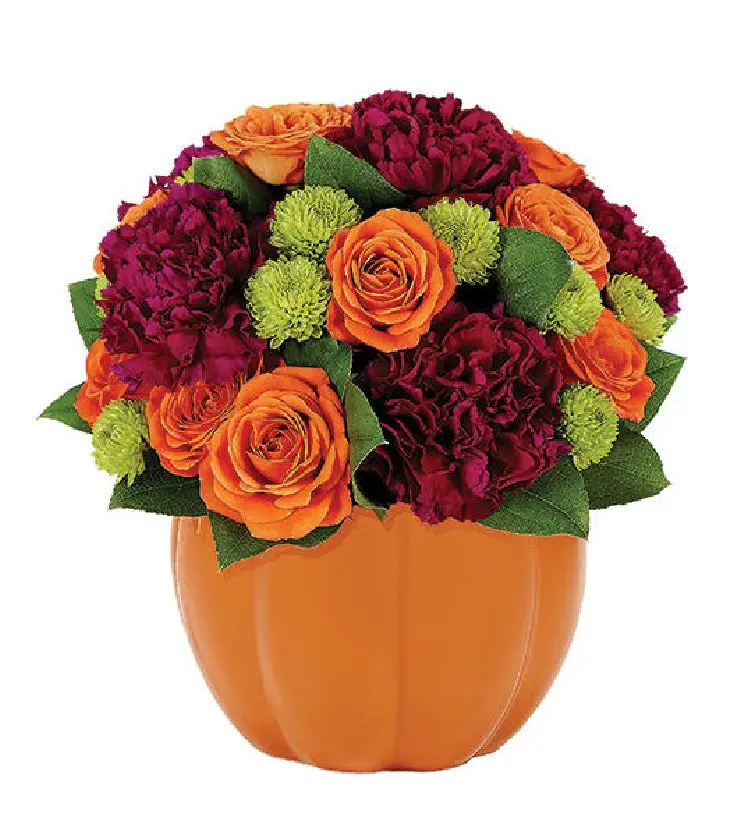 Pumpkin Surprise