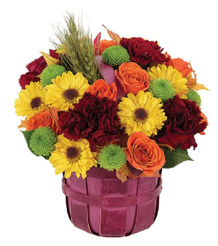 Full of Fun Harvest Basket