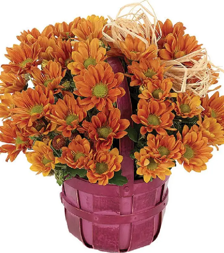 Fall Daisy Bushel Basket