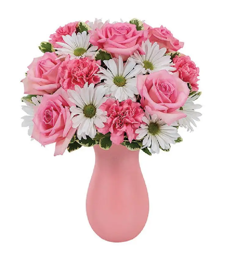 Daisy & Rose Delight