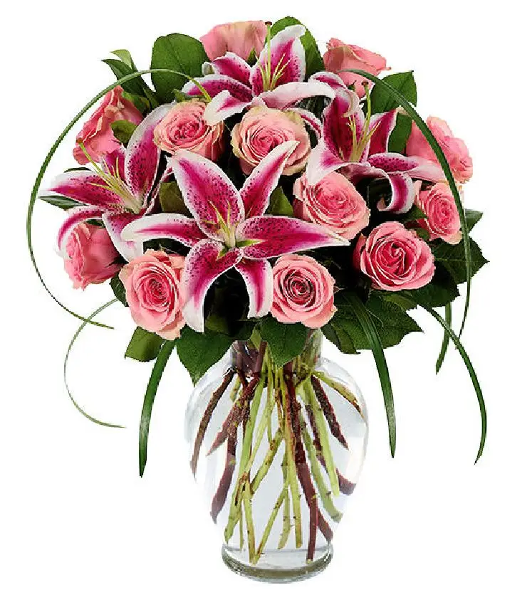 Sophisticated Rose & Stargazer Bouquet