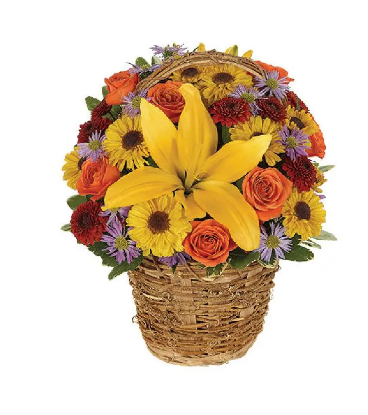 Harvest Vine Basket