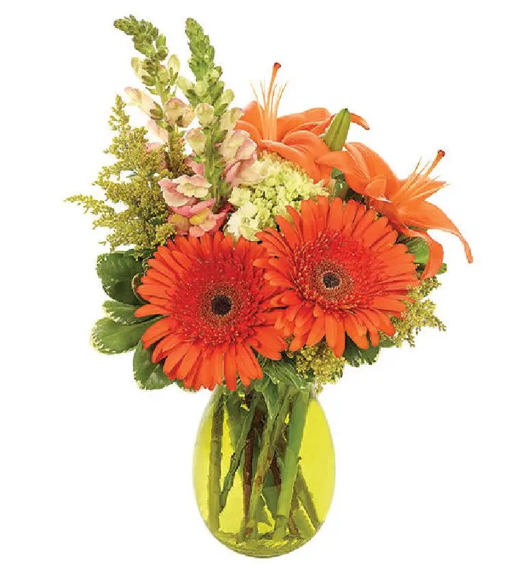 Blooming Splendor