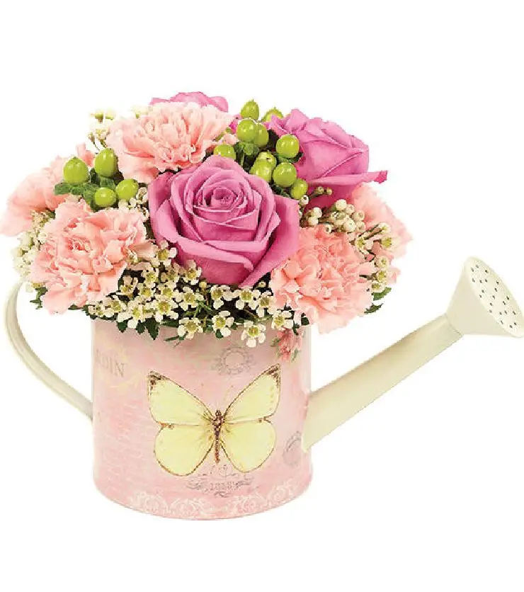 Butterfly Garden Watering Can