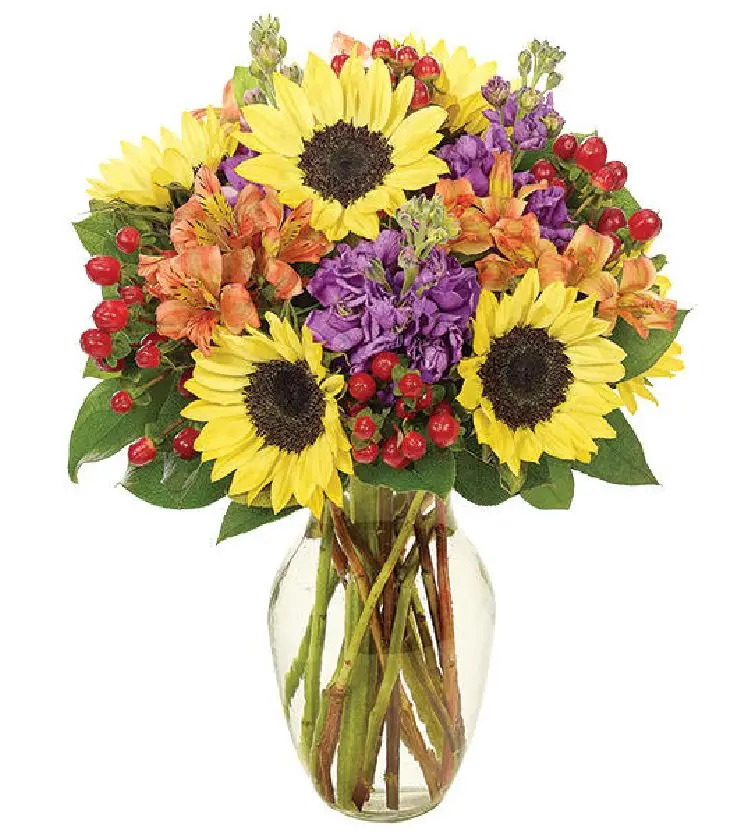 Fall Sunflower Brilliance Bouquet 