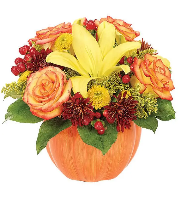 Harvest Pumpkin Celebration