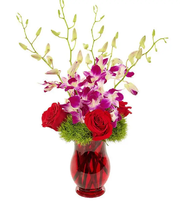 Orchid Radiance Bouquet