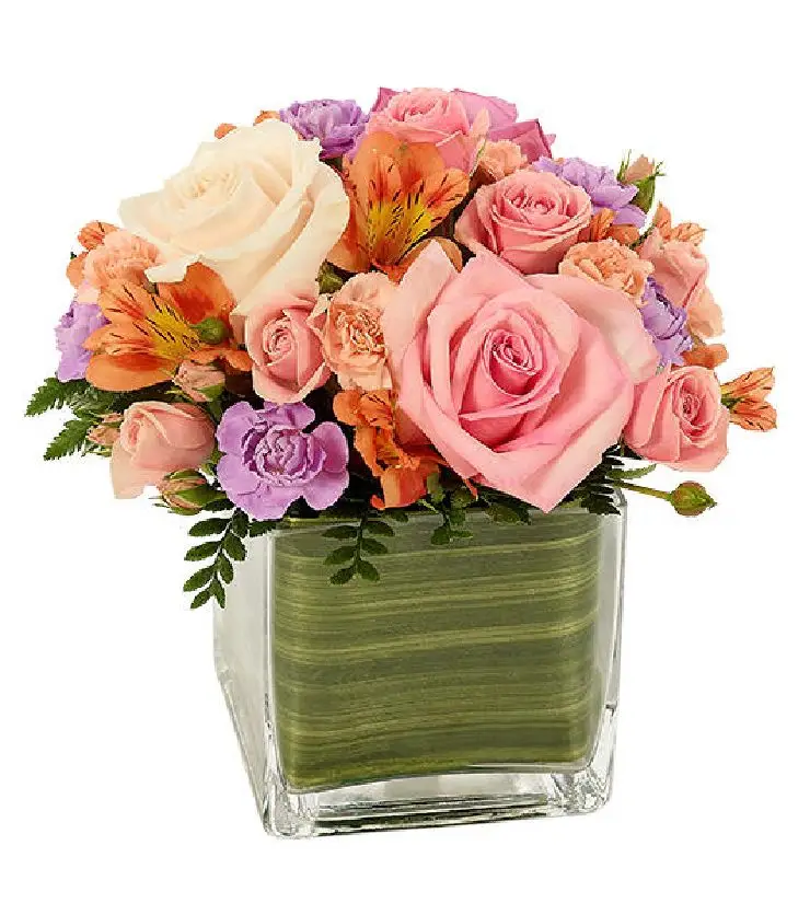 Sorbet Blossoms Cube