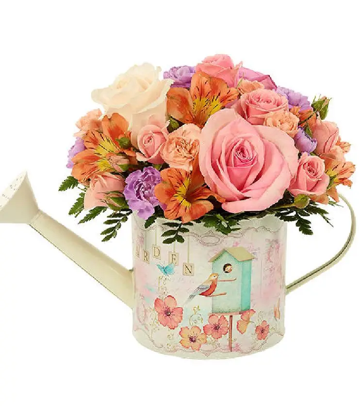 Misty Meadow Birdhouse Watering Can