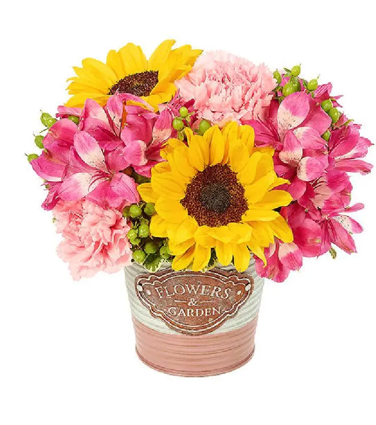 Spring Flowers & Garden Celebration