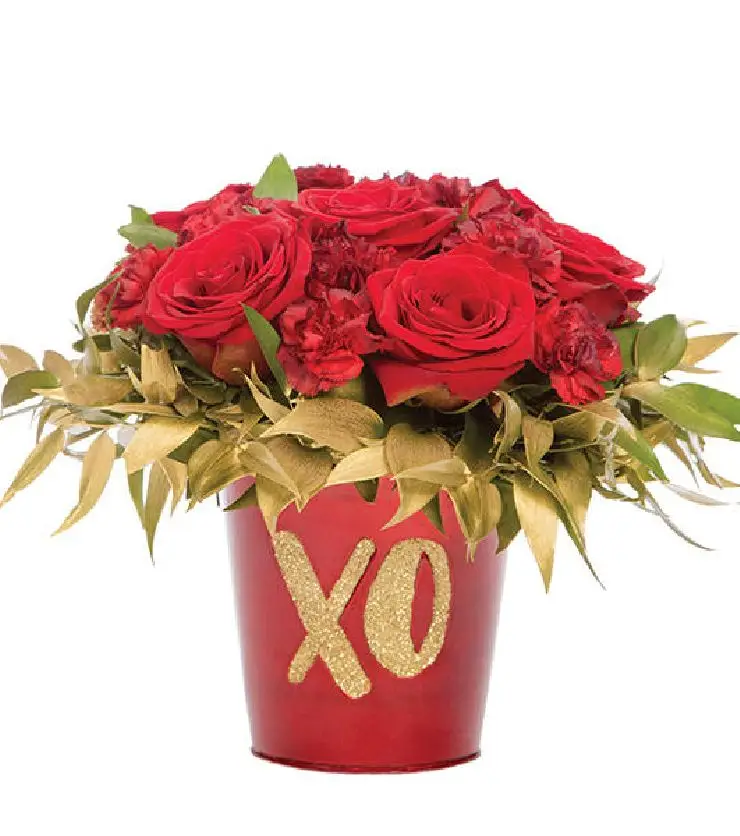 You Had Me at XO 