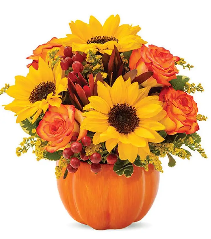 Fall Celebration Pumpkin