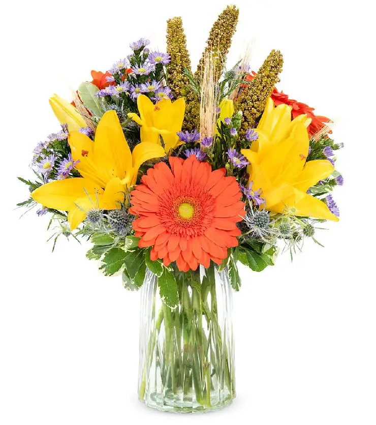 Autumn Blooms