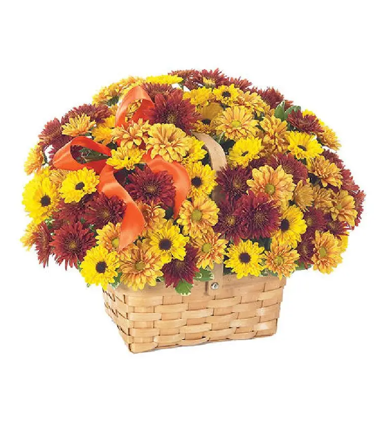 Fresh Fall Daisy Bouquet