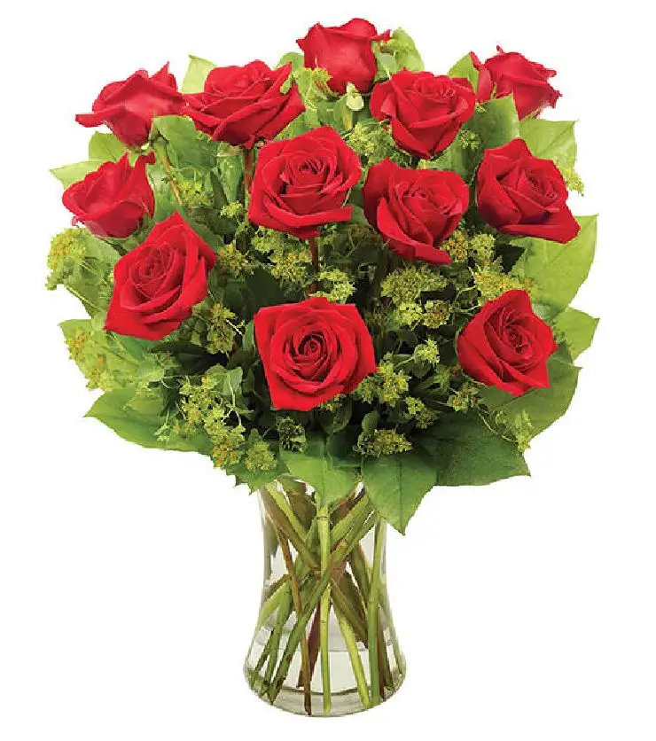 Elegant Rose Romance