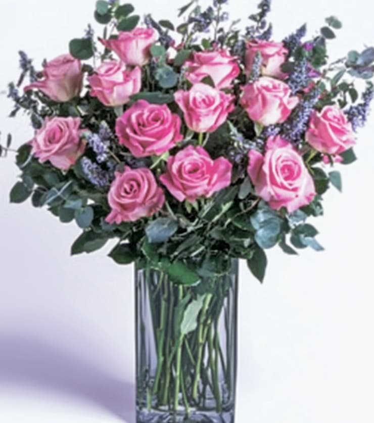 Luxurious Pink Roses