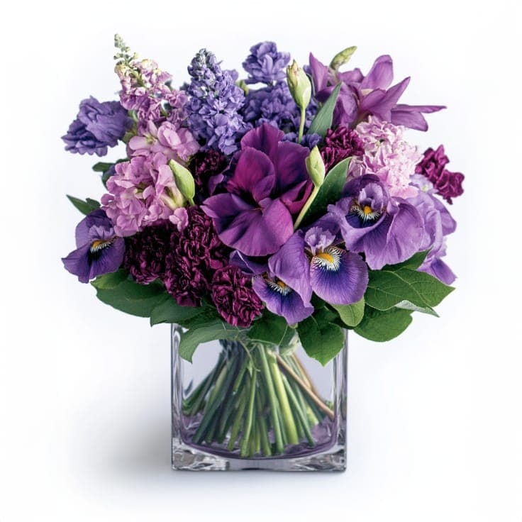 Colorful Flowers