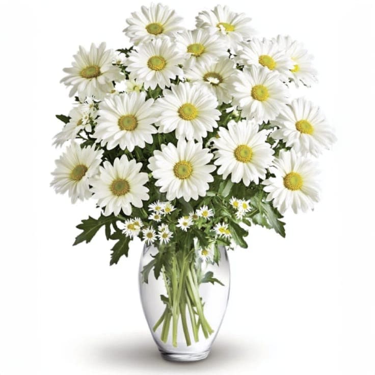 innocence Mums